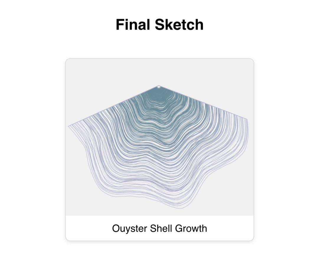 oyster shell