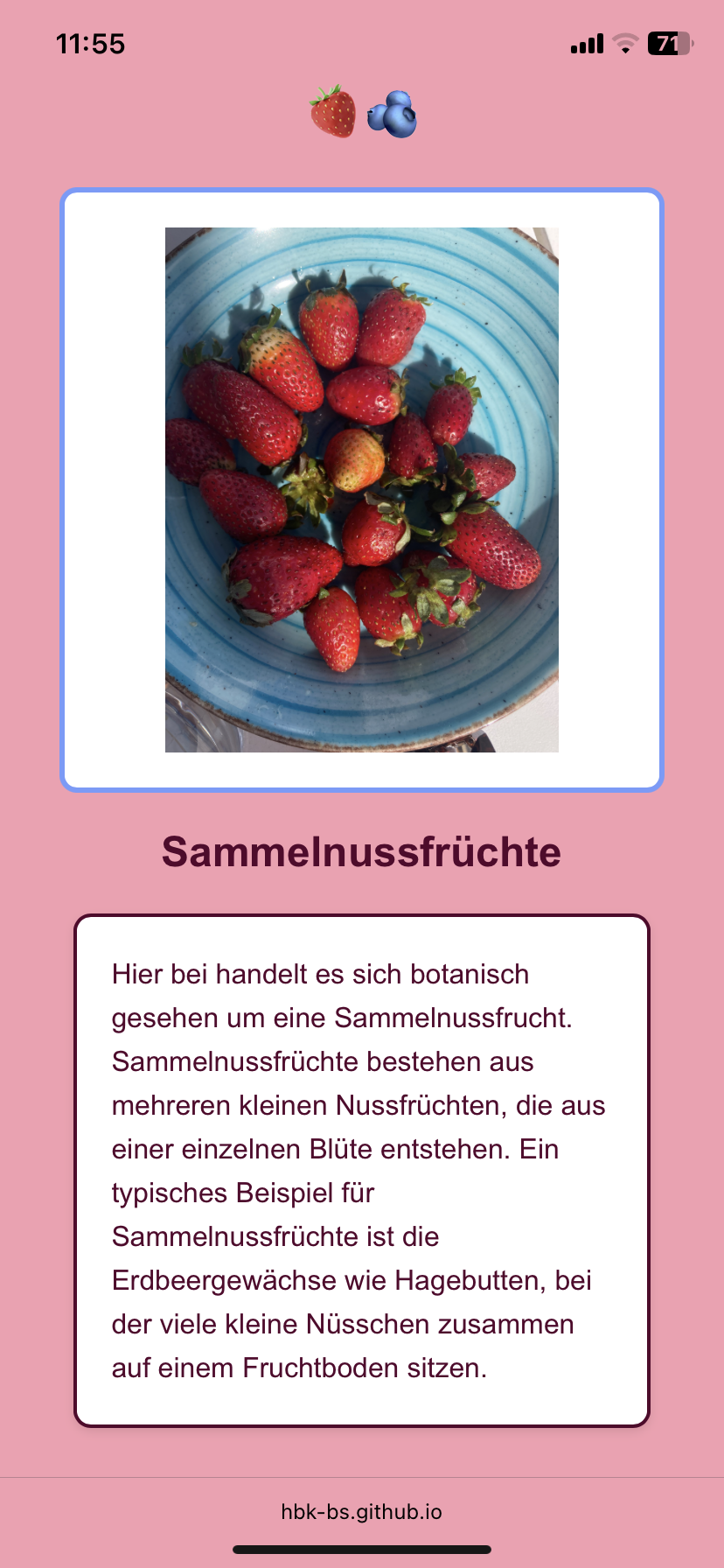 Beere 1