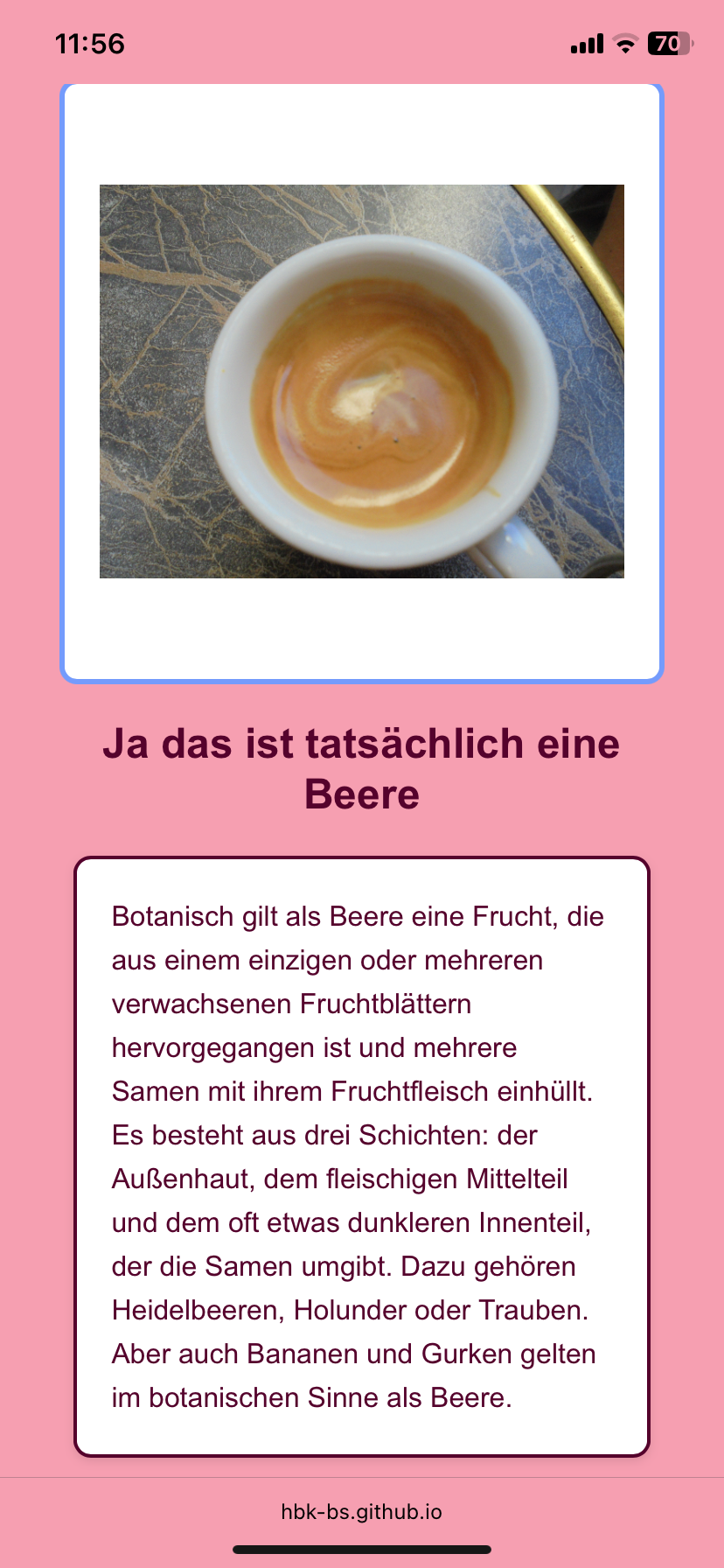 Beere 3