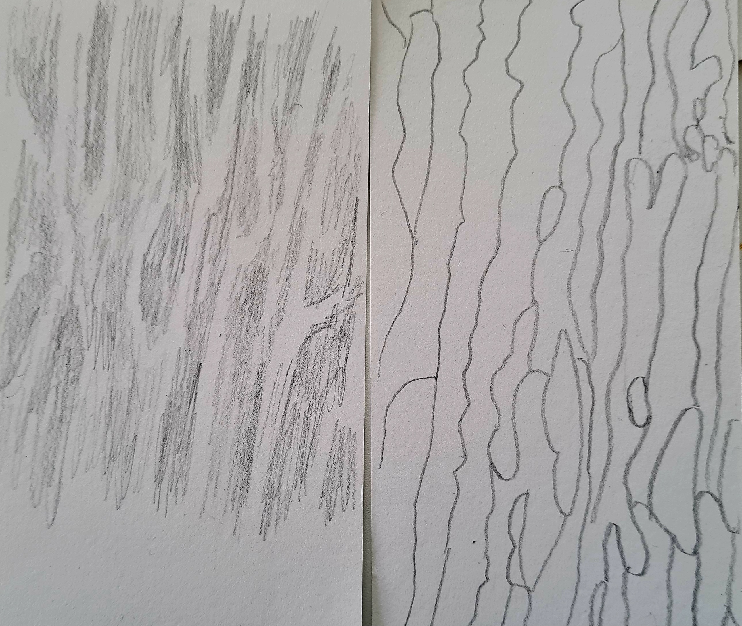 sketches of the patterns in the sand