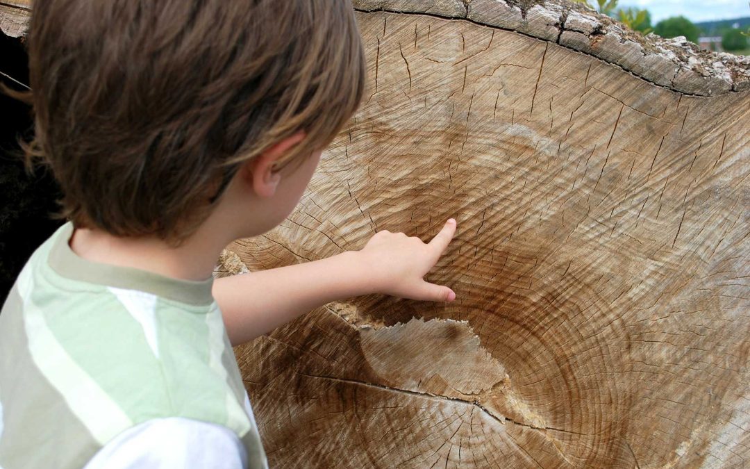 Child Holding Ring