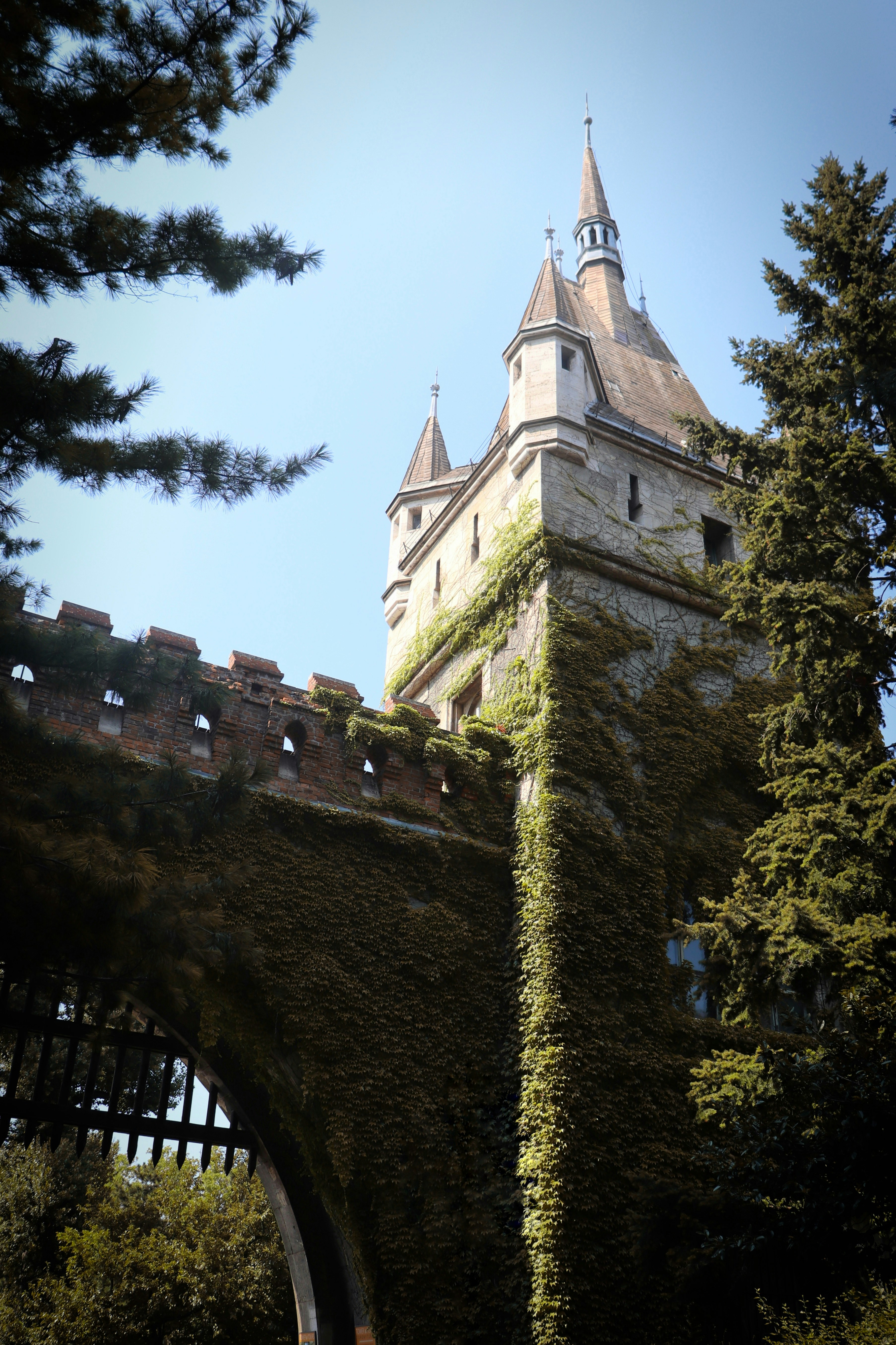 Left Ad Castle