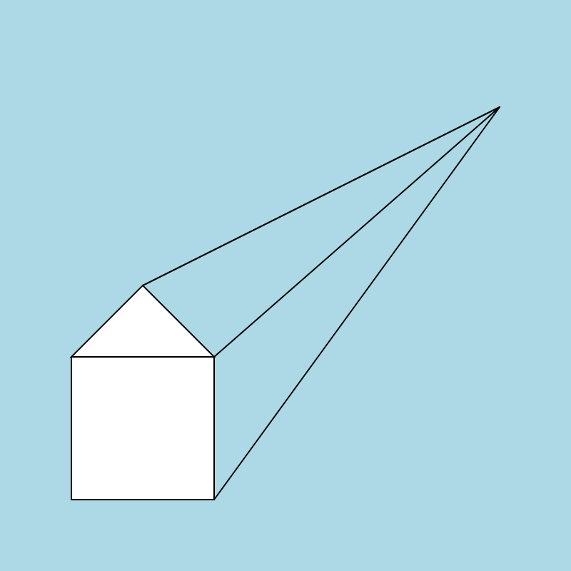 perspective 5