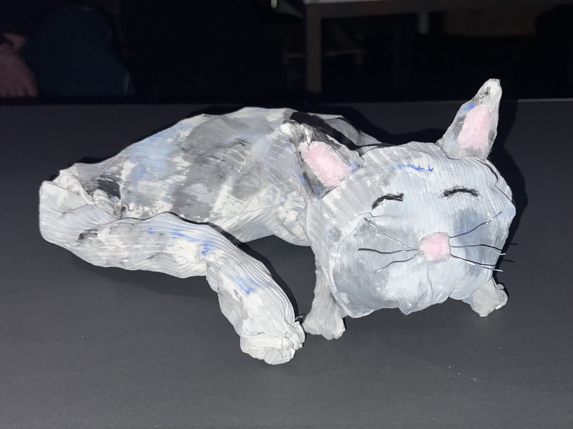 Katze 6
